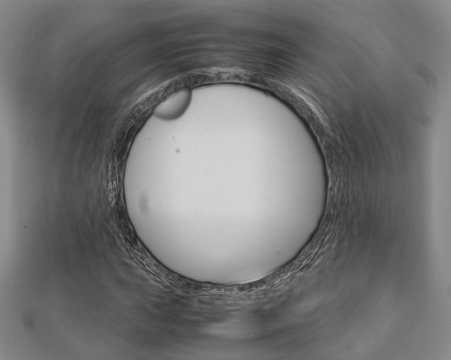X0000112871015200908211025