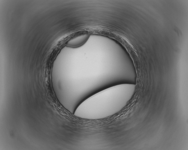 X0000112871016200908211025