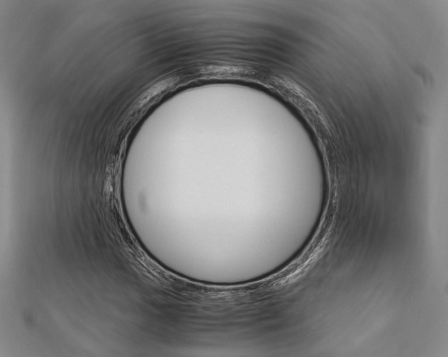X0000112871017200908211025