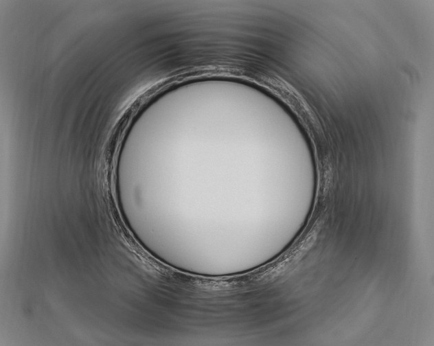 X0000112871019200908211025