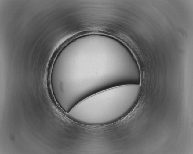 X0000112871020200908211025