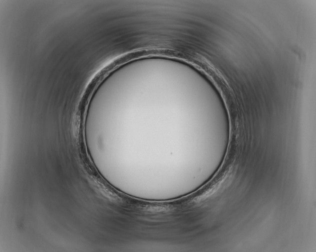 X0000112871021200908211025