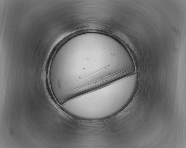 X0000112871024200908211025