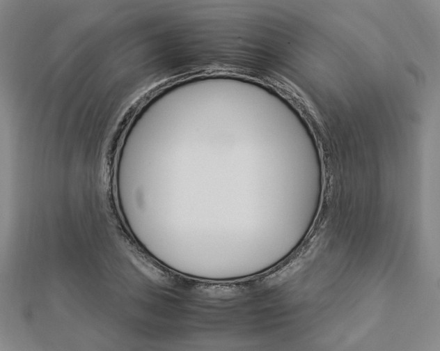 X0000112871027200908211025