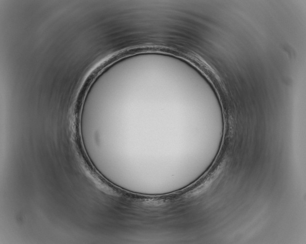 X0000112871029200908211025