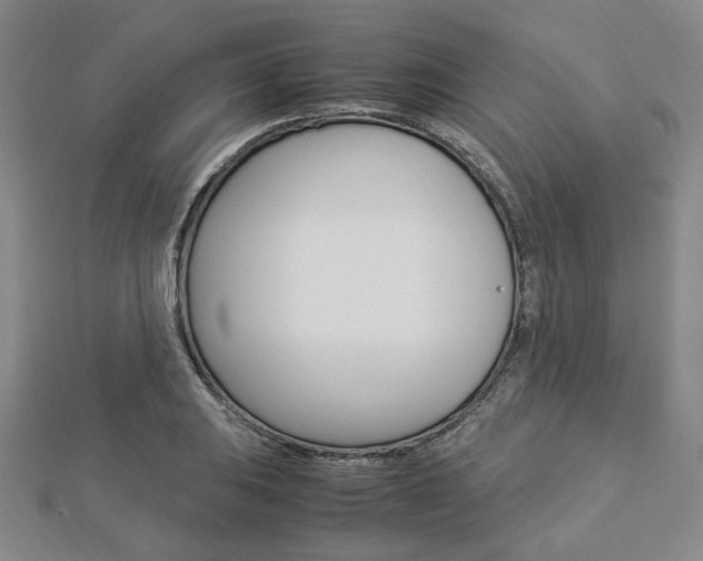 X0000112871031200908211025