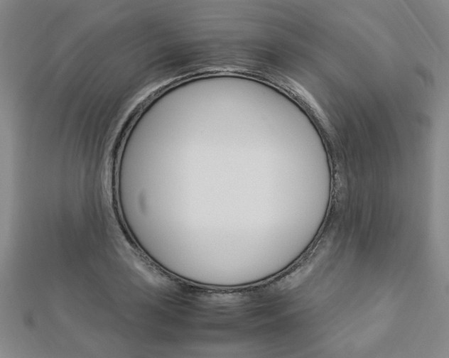 X0000112871035200908211025