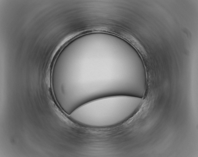 X0000112871036200908211025