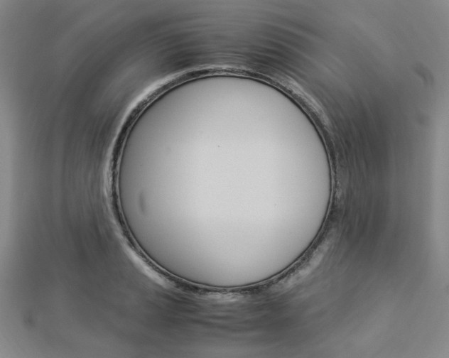 X0000112871037200908211025