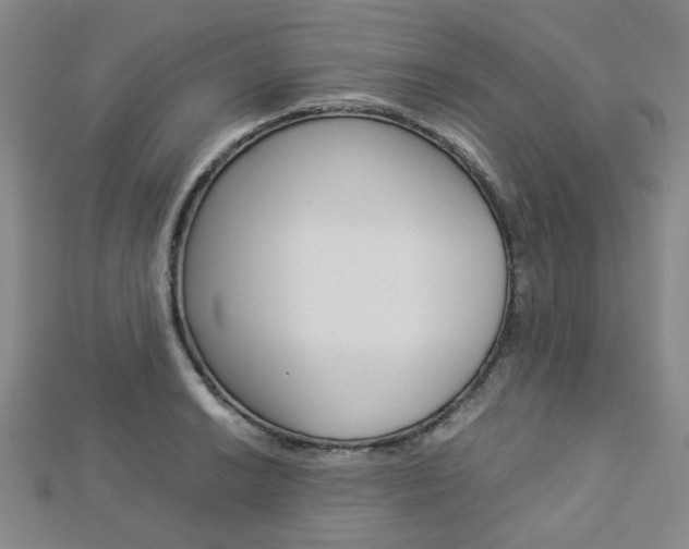 X0000112871038200908211025