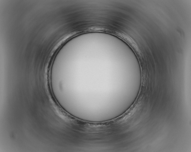 X0000112871039200908211025