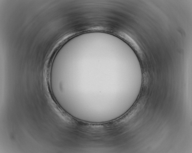 X0000112871043200908211025