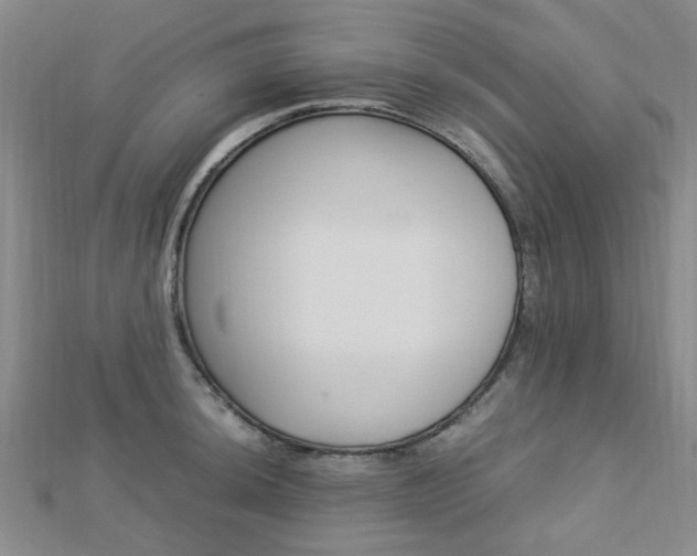 X0000112871044200908211025