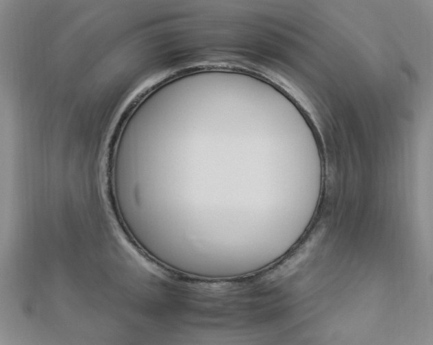 X0000112871045200908211025