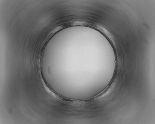 X0000112871049200908211025