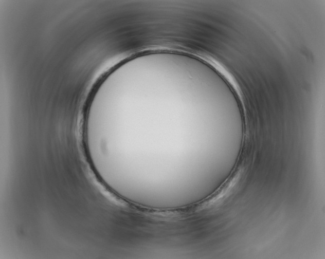 X0000112871053200908211025