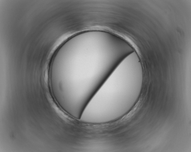 X0000112871054200908211025