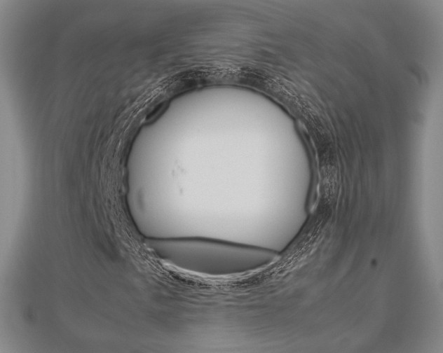 X0000112871057200908211025
