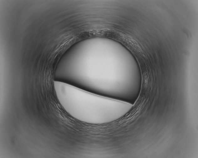 X0000112871060200908211025