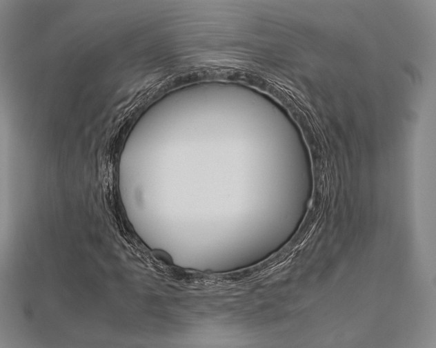 X0000112871061200908211025