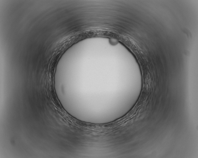 X0000112871062200908211025