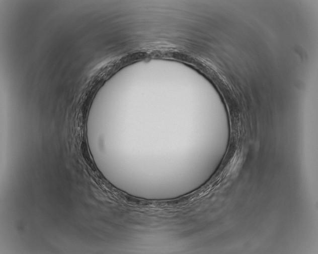 X0000112871063200908211025