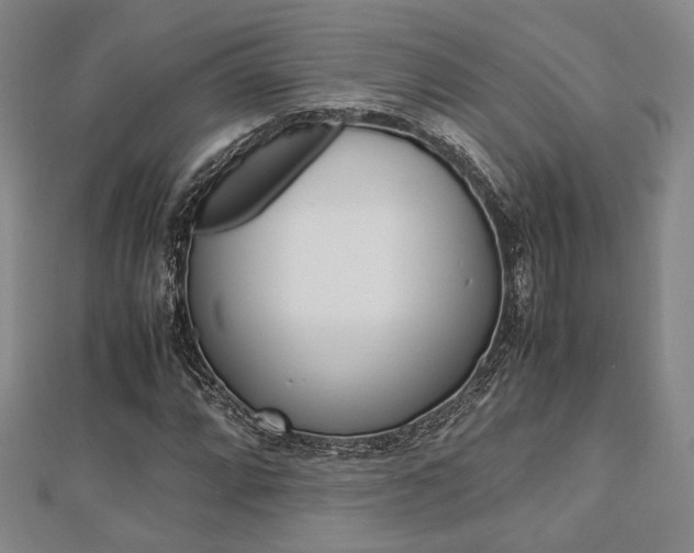 X0000112871064200908211025