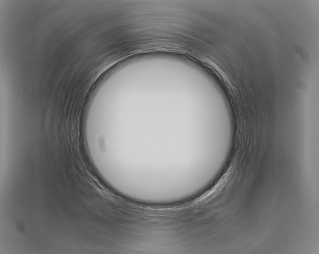 X0000112871065200908211025