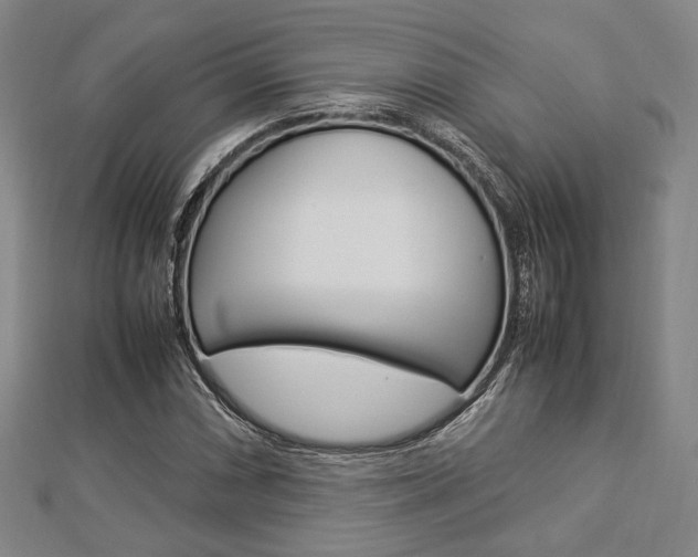X0000112871066200908211025
