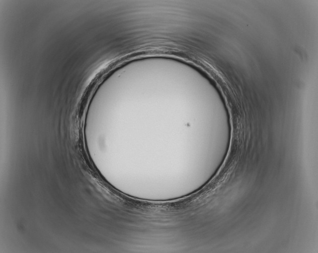 X0000112871067200908211025