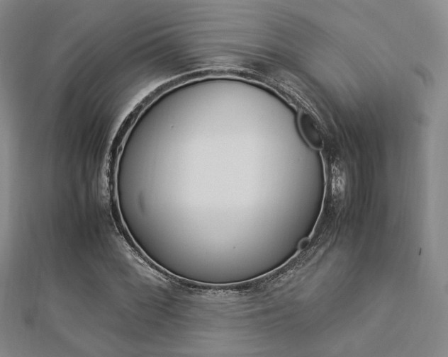 X0000112871068200908211025