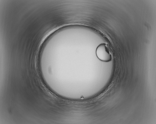 X0000112871069200908211025