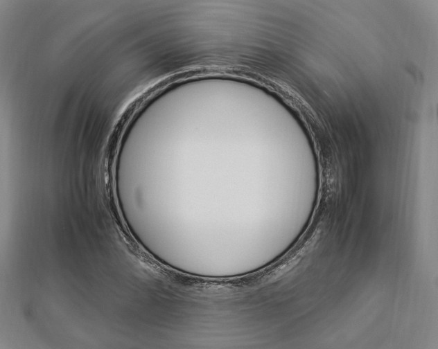 X0000112871070200908211025