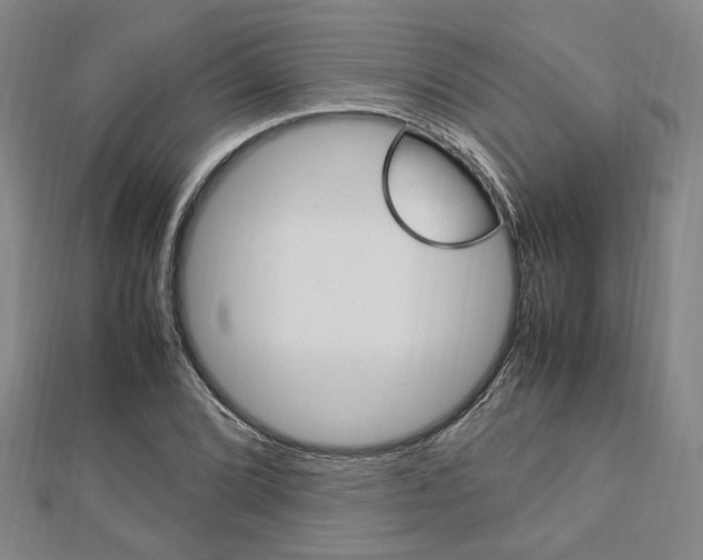 X0000112871072200908211025