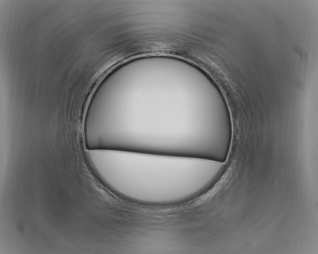 X0000112871073200908211025