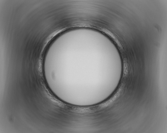 X0000112871074200908211024