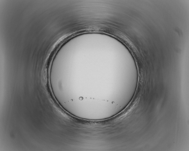X0000112871075200908211024