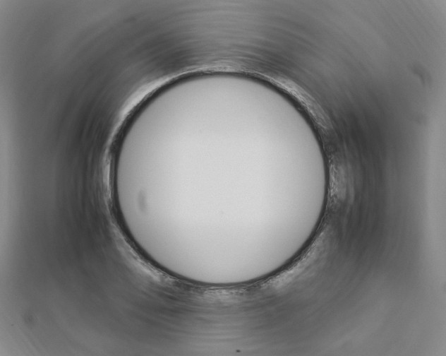 X0000112871078200908211024