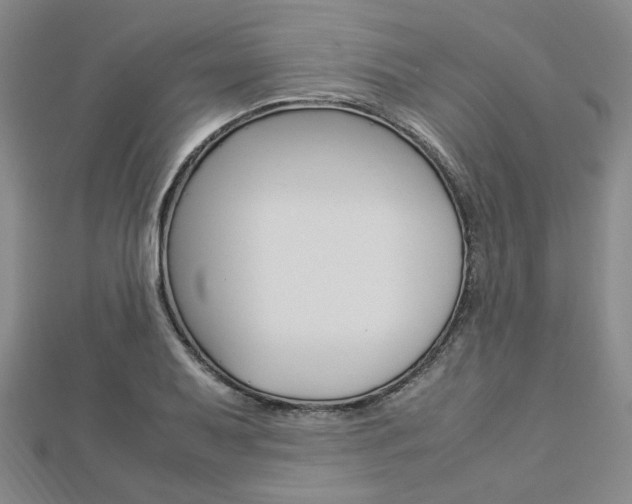 X0000112871079200908211024