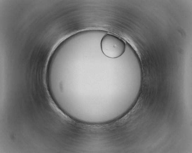 X0000112871080200908211024