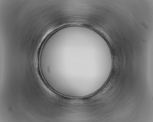 X0000112871083200908211024