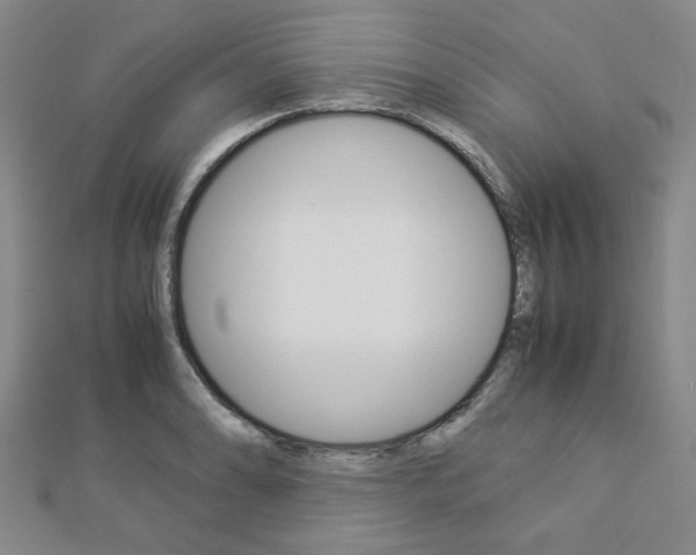 X0000112871086200908211024