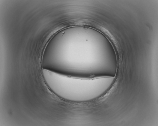 X0000112871089200908211024