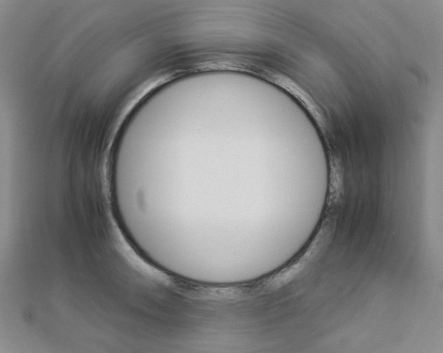 X0000112871090200908211024