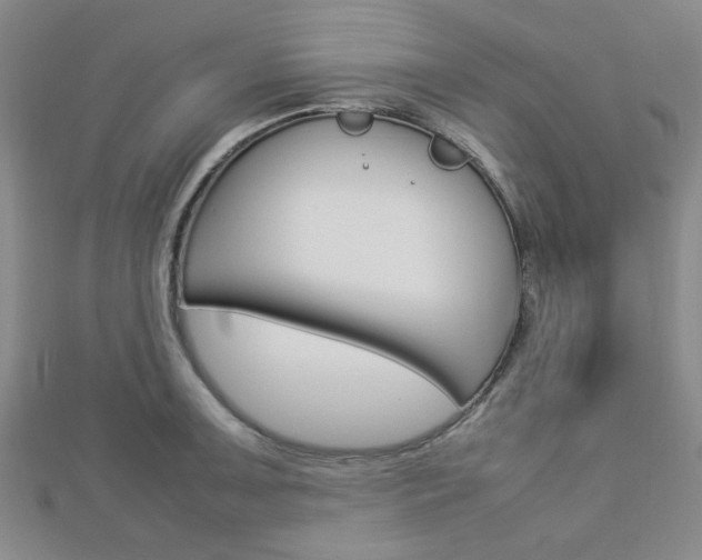 X0000112871091200908211024
