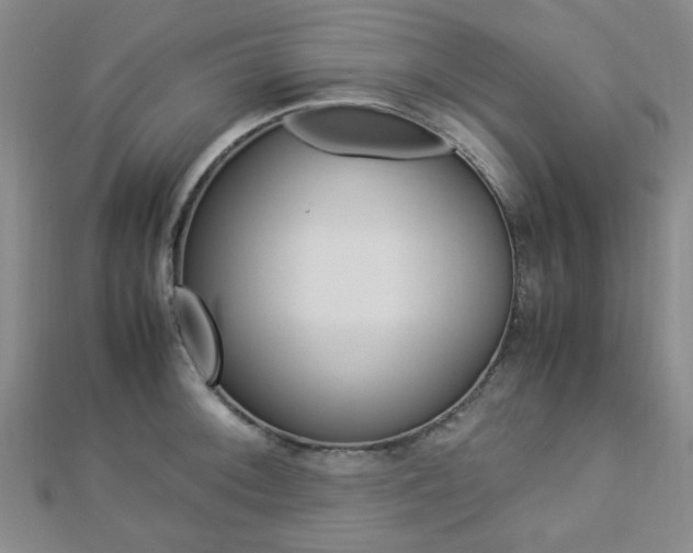 X0000112871092200908211024