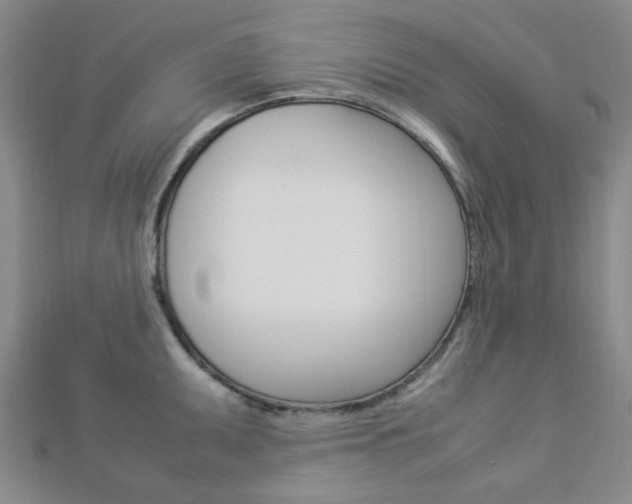 X0000112871095200908211024