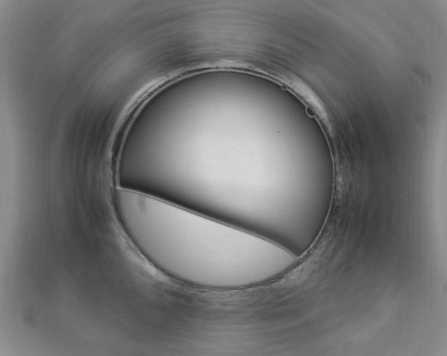 X0000112871096200908211024