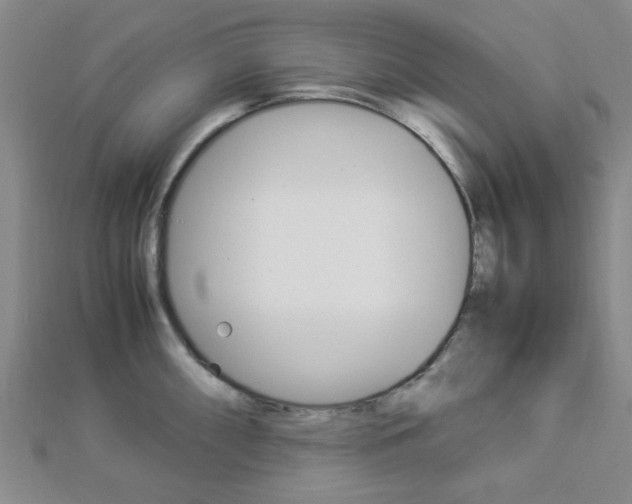 X0000112871098200908211024