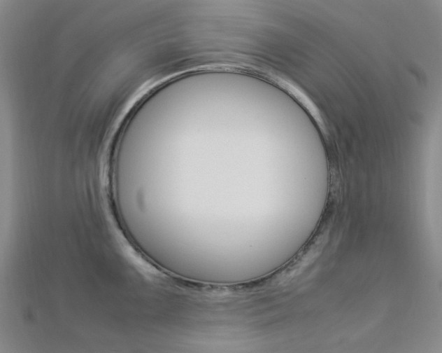 X0000112871099200908211024
